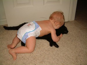 baby tackle kitty-flickr-paulmayne