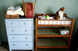 cat on changetable-flickr-exlibris