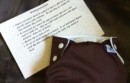 bottombumper cloth diaper