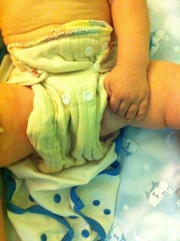 20110909-012341.jpg