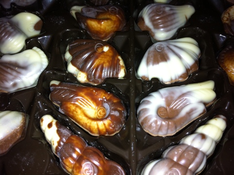 20120213-234230.jpg