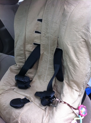 20120331-041113.jpg