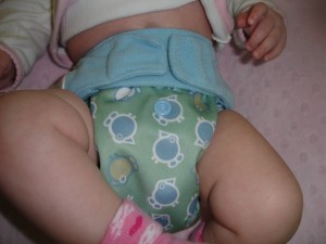 GroVia All In Two Cloth Diaper