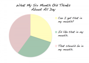 baby thought pie chart