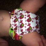 bunnzoo reusable diaper