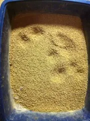 20111218-230733.jpg