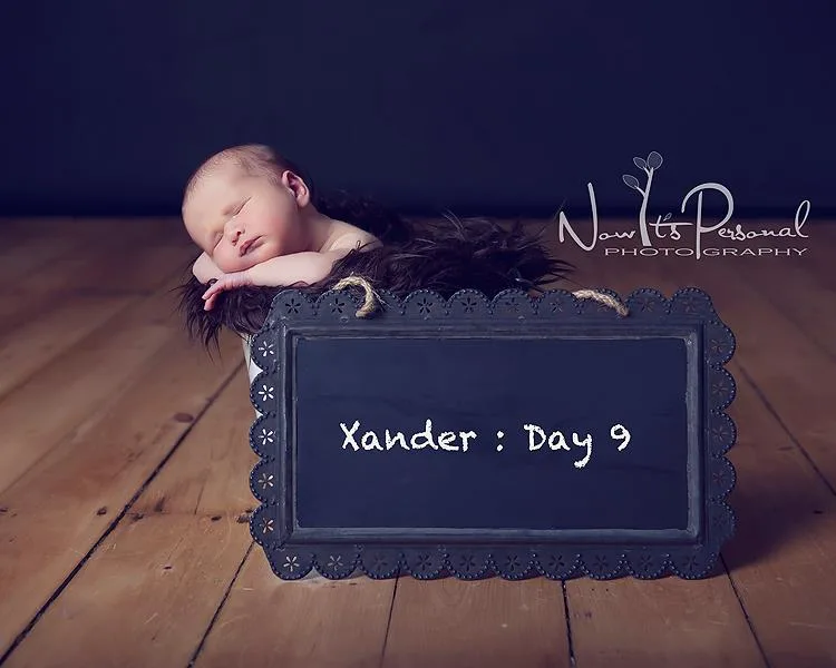 xander day 9