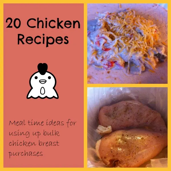 20 chicken recipes