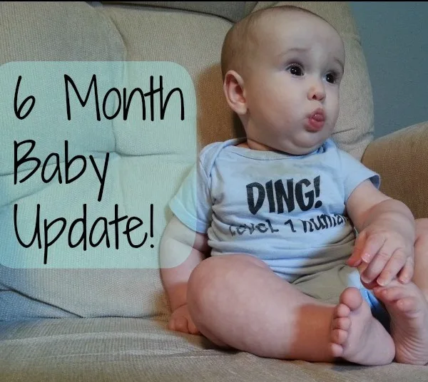 6 month baby milestone update