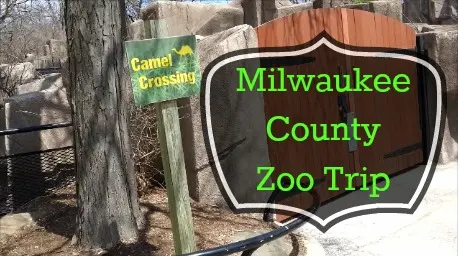 zoo trip