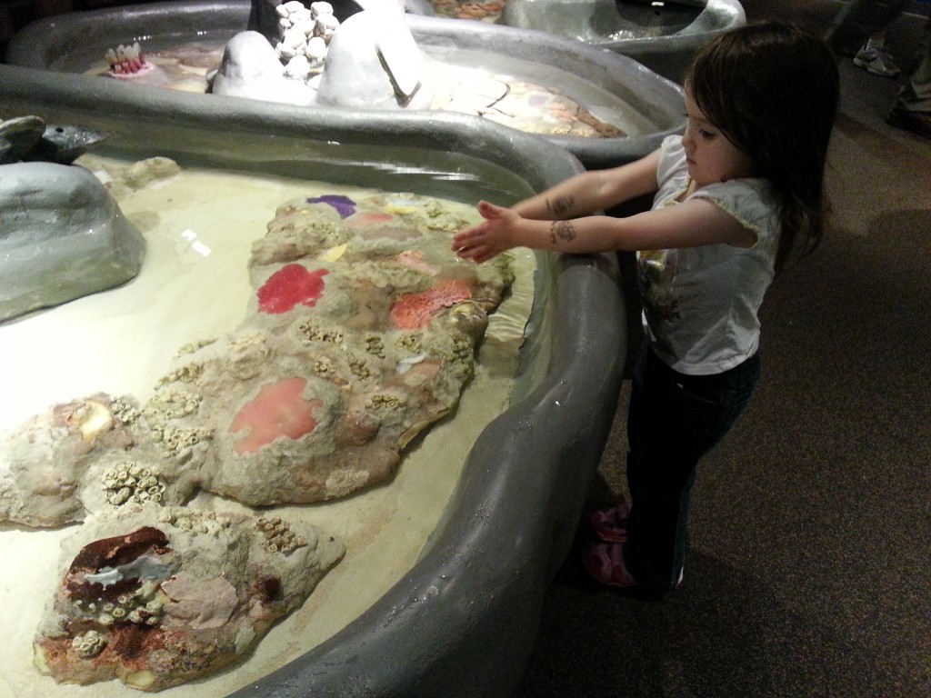 toddler at aquarium
