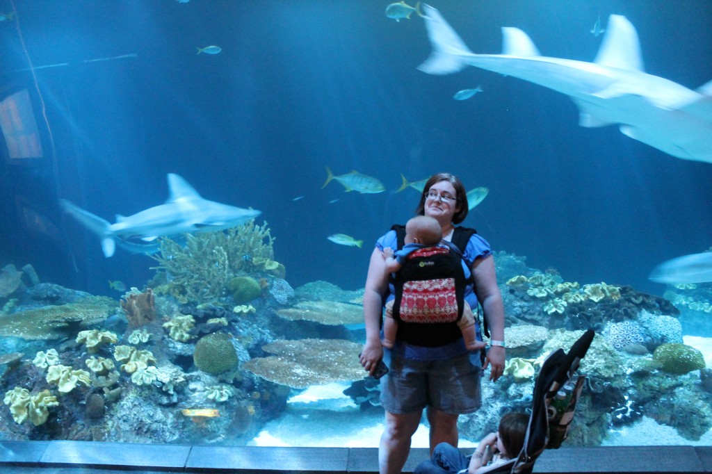 darcy standing in front of shark tank at aquarium