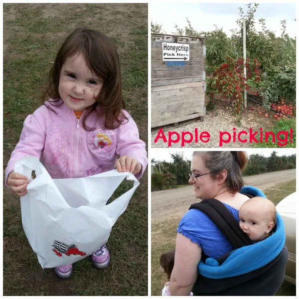 family apple picking collage #shop