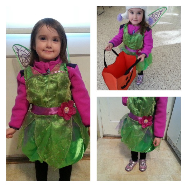 rissa fairy collage 2013
