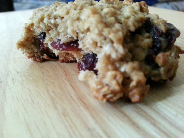 close up of cranberry oatmeal cookie #shop