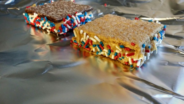 Honey maid frozen graham cracker sandwich with sprinkles