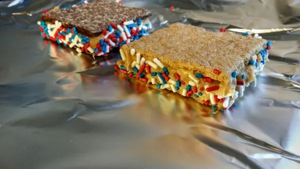 Honey maid frozen graham cracker sandwich with sprinkles