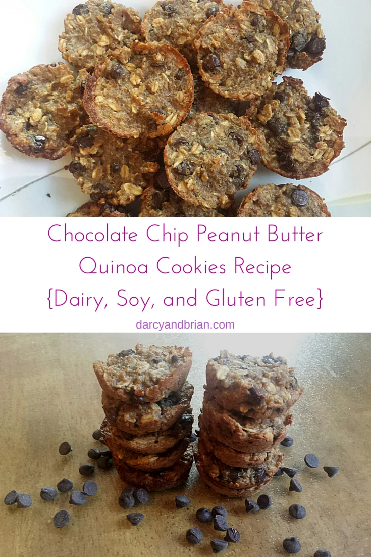 Chocolate Chip Peanut Butter Quinoa Cookies