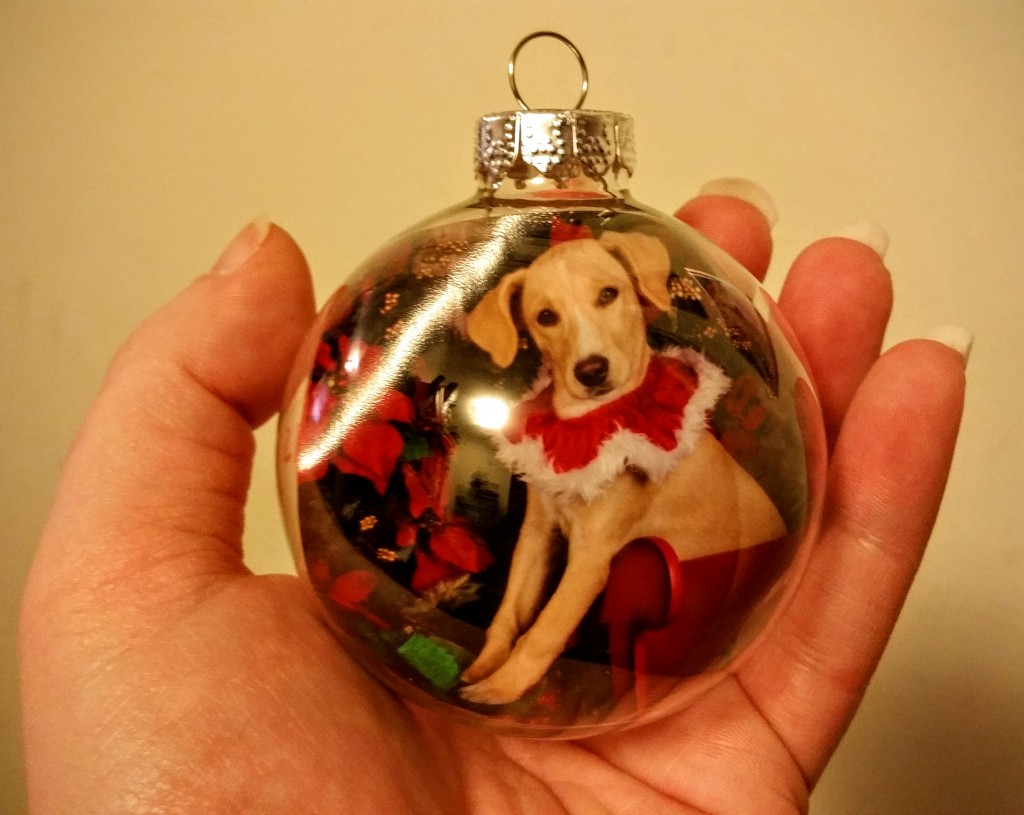 DIY Christmas photo ornament