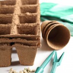 Get the whole family involved in gardening with these ideas, such as starting an indoor herb garden.
