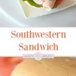 Sandwiches don't have to be boring! Fire up those taste buds when you make this Southwestern Turkey Sandwich recipe for lunch or dinner. Perfect to pack for a picnic with the family!