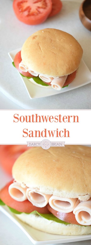 Sandwiches don't have to be boring! Fire up those taste buds when you make this Southwestern Turkey Sandwich recipe for lunch or dinner. Perfect to pack for a picnic with the family!