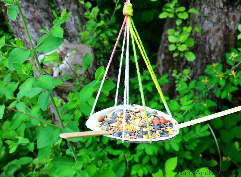 Learn how to make this easy seashell bird feeder craft with the kids.