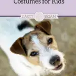 Do your kids love to dress up like their favorite movie characters? The Secret Life of Pets costumes for kids are sure to be a hit this Halloween or for pretend play.