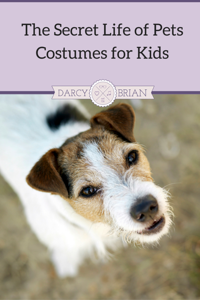 Do your kids love to dress up like their favorite movie characters? The Secret Life of Pets costumes for kids are sure to be a hit this Halloween or for pretend play.