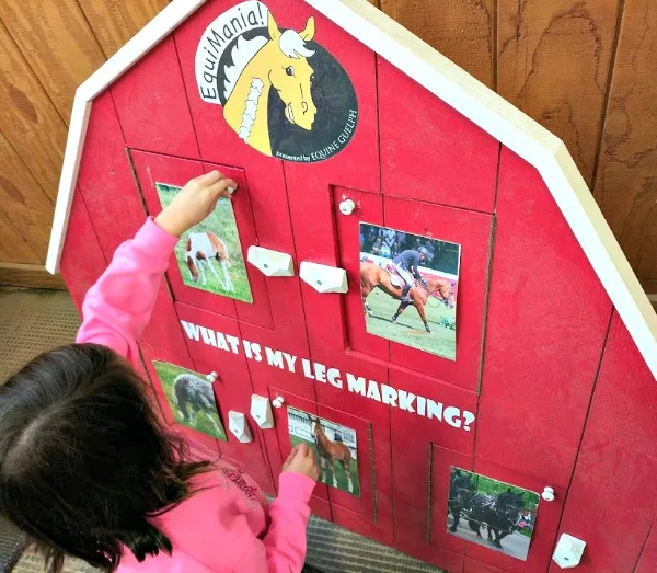 Learning about horse markings at the Minnesota State Fair