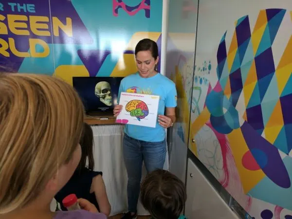 Touring the Curiosity Cube and learning about the cerebellum