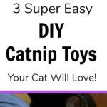 These homemade catnip toys are so easy to make and use simple supplies! Have an old sock that's missing its matching pair? Or an empty toilet paper tube? Click for the tutorial to make 3 DIY catnip toys. Your cat will think they are absolutely purrfect, but will act cool like they are no big deal. #MeowMixatMeijer #CollectiveBias #AD