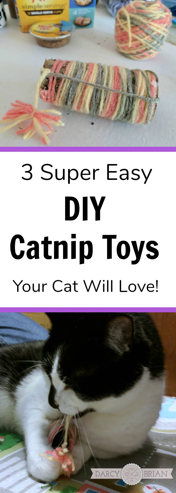 These homemade catnip toys are so easy to make and use simple supplies! Have an old sock that's missing its matching pair? Or an empty toilet paper tube? Click for the tutorial to make 3 DIY catnip toys. Your cat will think they are absolutely purrfect, but will act cool like they are no big deal. #MeowMixatMeijer #CollectiveBias #AD