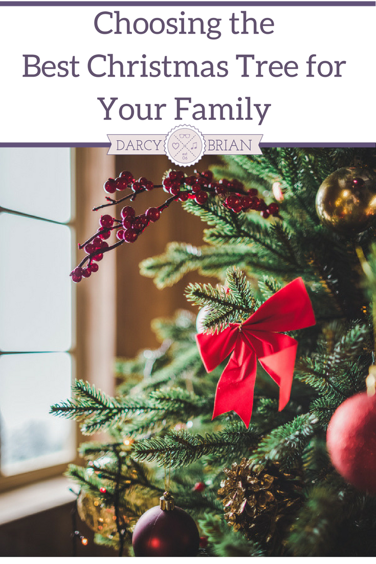 Choosing the Best Christmas Tree for Your Family