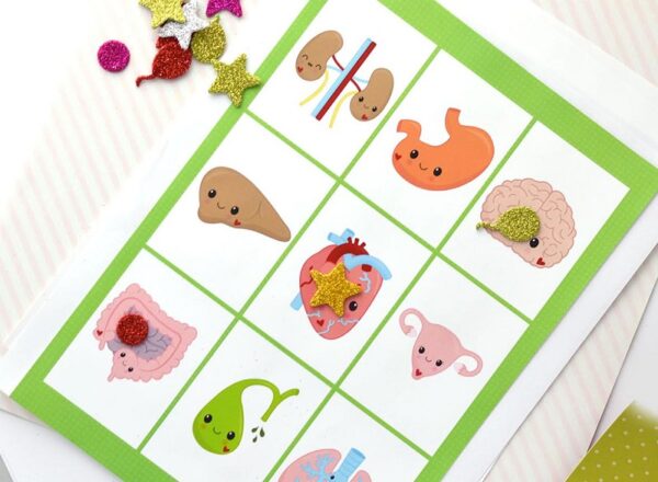 Printable bingo card with cute pictures of internal organs