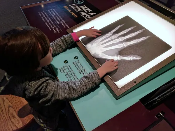 My son learning about xrays in hands on exhibit at Science Museum of Minnesota