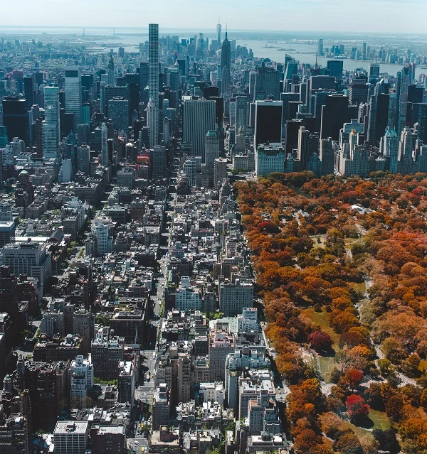 Fall colors in Central Park image via Unsplash