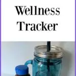 [AD] Staying healthy is important all year round. Check out these Winter Wellness Tips and free printable wellness tracker. #NatureMadeVitaminD #CollectiveBias
