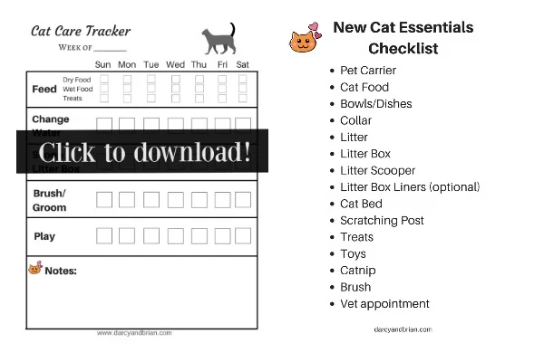 Downloadable new cat checklist and cat care tracker