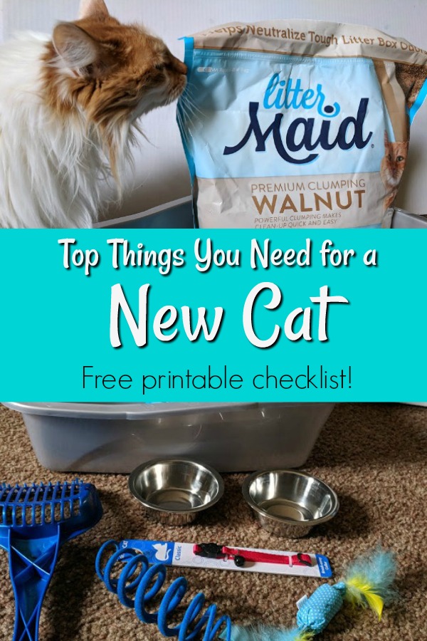 The Top Things You Need for a New Cat