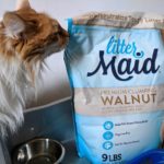 Long haired cat sniffing LitterMaid® Premium Walnut bag