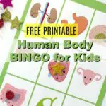 Have fun with your kids playing BINGO by using our human body part themed printable BINGO cards.  You'll love that they are learning, and they will, of course, love that you have a fun game for them to play! These work great for road trips, homeschool, and summer activities.
