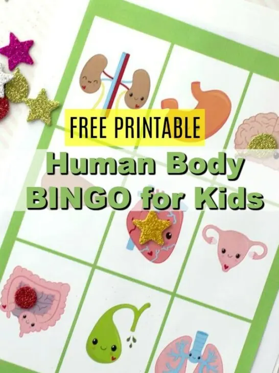 Have fun with your kids playing BINGO by using our human body part themed printable BINGO cards.  You'll love that they are learning, and they will, of course, love that you have a fun game for them to play! These work great for road trips, homeschool, and summer activities.