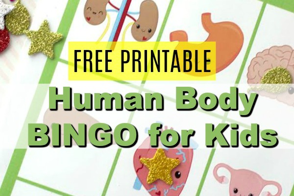 Grab our Human Body Printable Bingo Cards for fun-filled games your kids will love! Print these and check out our tips for how to use with your kids!