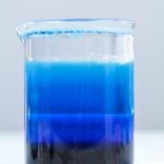 Ocean zones density jar tutorial