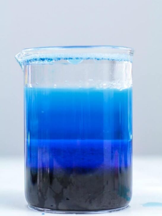 Ocean zones density jar tutorial
