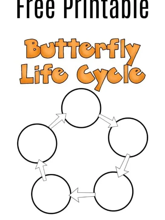 Grab this free printable butterfly life cycle worksheet and learn about how a caterpillar becomes a butterfly. Great addition to your classroom, homeschool, or hands on learning at home. It's perfect for preschoolers and kindergartners, but kids of all ages will enjoy learning about butterflies.