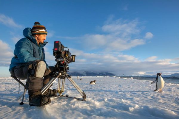 Cameraman on the snow filming penguins for Disneynature