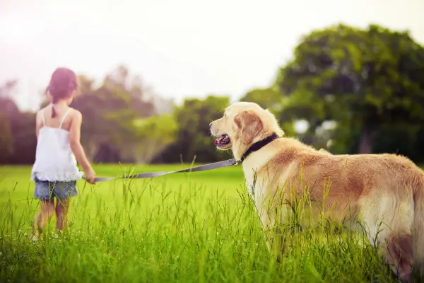 Girl walking through the grass with a dog