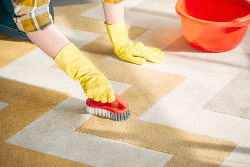 Person cleaning stain on carpet